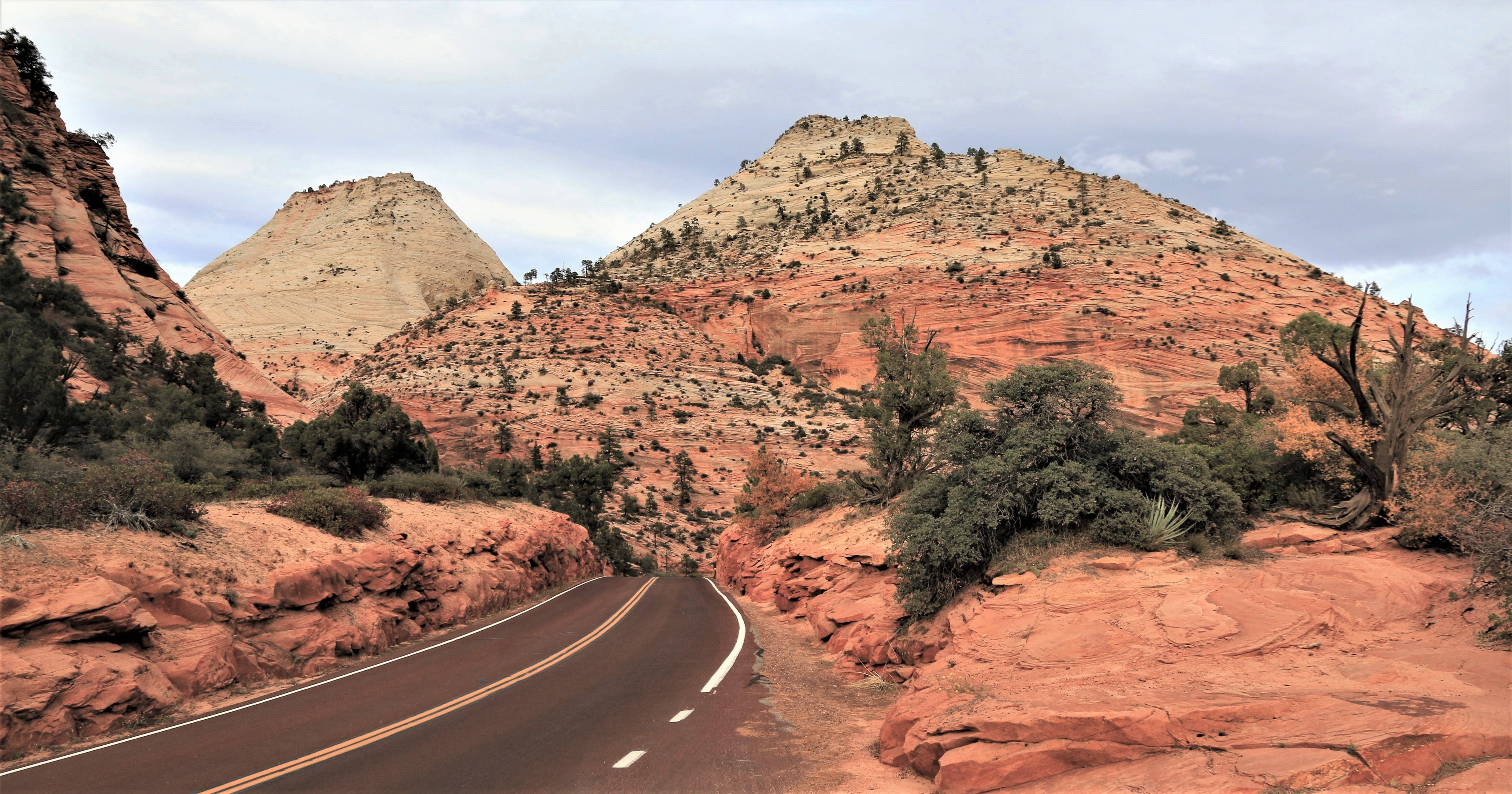 Zion NP